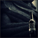 The Lions Gate Bridge